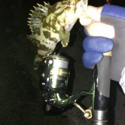 ぼうず逃れの青空市場裏釣行