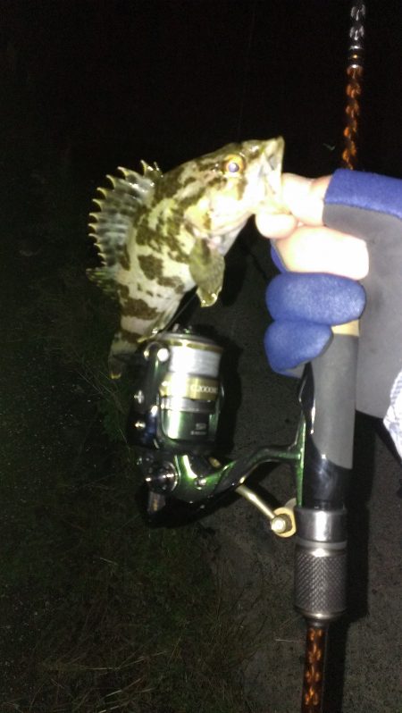 ぼうず逃れの青空市場裏釣行