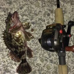 オールナイトも報われず