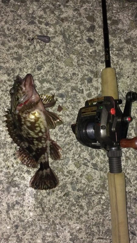 オールナイトも報われず