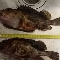 思ってるよりダメでした