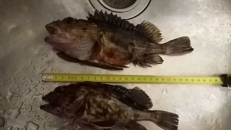 思ってるよりダメでした