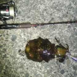 串本周辺をランガン！