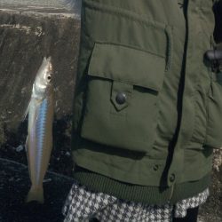 串本港　家族でキッシング！