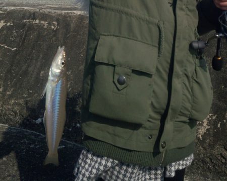 串本港　家族でキッシング！