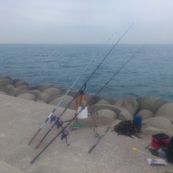 戻りカレイハンティング！