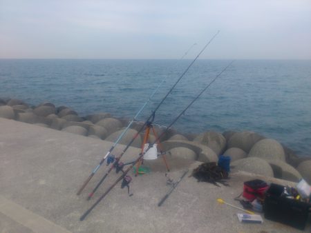 戻りカレイハンティング！