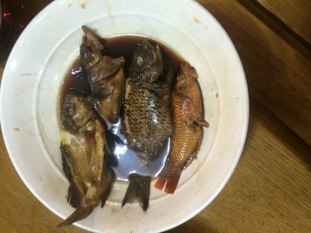 小ぶりながら大漁で子供も大満足^_^