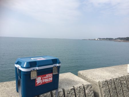 昨日早朝のリベンジ(青物)