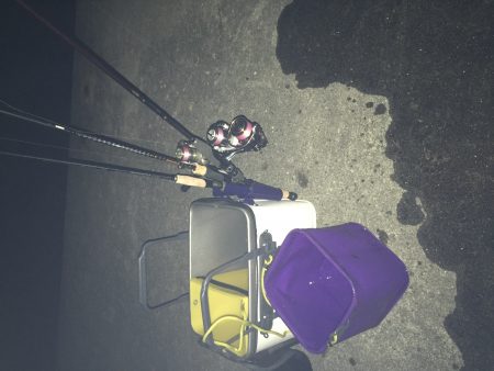 りんくう　真夜中のメバリング