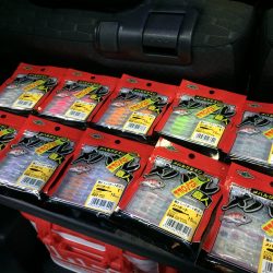 りんくう　久々のメバル調査！