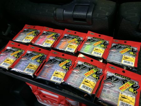 りんくう　久々のメバル調査！