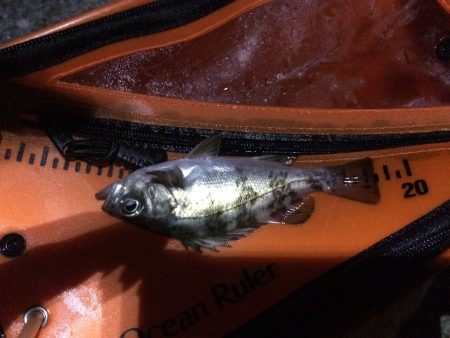 神戸〜垂水ランガン