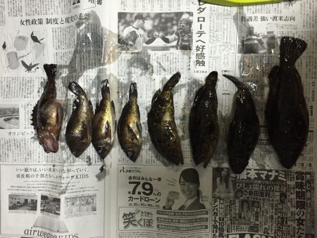 泉南地方ランガン釣行！ タケノコ祭り開催中