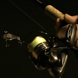 大阪南港シーバス　様子を見に…