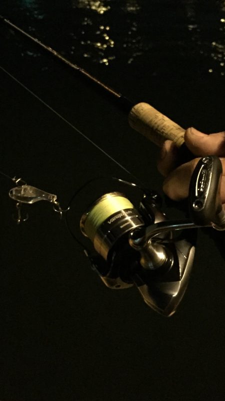 大阪南港シーバス　様子を見に…