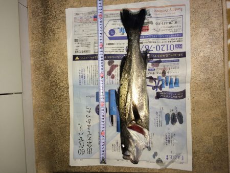 久しぶりの釣りでしたら。