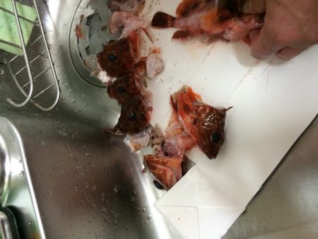 泉南サーフでガシリング‼︎