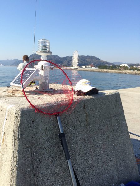 ノッコミ チヌ狙いと 根魚探り