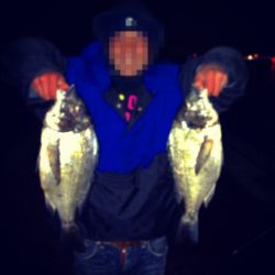 汐見埠頭　ウキふかせ釣りでのチヌ狙い