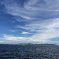 激渋の中の1本！