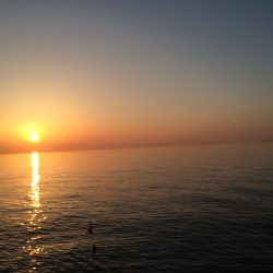 樽井ガシリング