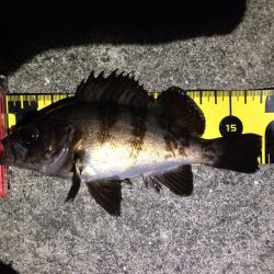 ご近所メバリング