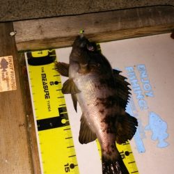 日本一のフィッシングホテルでメバリング♪