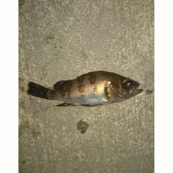 高砂港　ＪＨにて