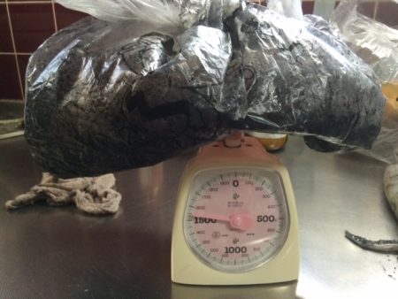 南紀でヤエン！