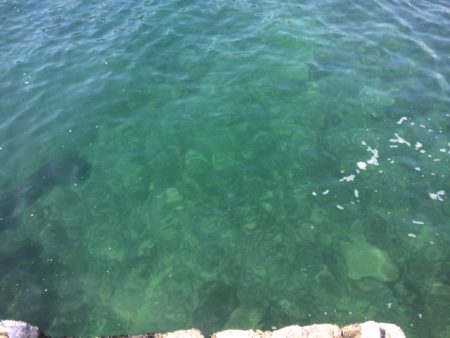 撃沈ヤエン釣行