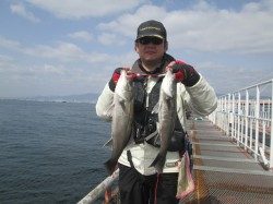 ウキ釣りで51cmのハネ、潮の変わり目がチャンスです