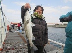 ウキ釣りで51cmのハネ、潮の変わり目がチャンスです