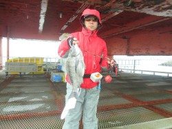 尼崎市立魚つり公園 投稿