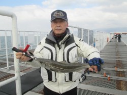 尼崎市立魚つり公園 ウキ釣り、ズボ釣りでセ…