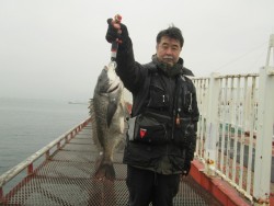 尼崎市立魚つり公園 投稿