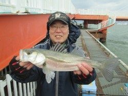 尼崎市立魚つり公園 本日唯一のハネ釣果
