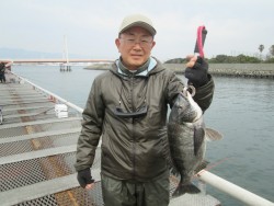 尼崎市立魚つり公園 ベタ底で４３ｃｍのチヌ…