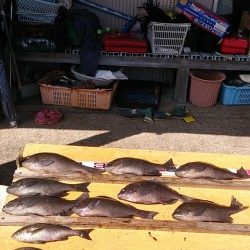 萩尾の磯でのフカセ釣果