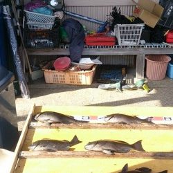 萩尾、渡船を利用してのフカセ釣り情報