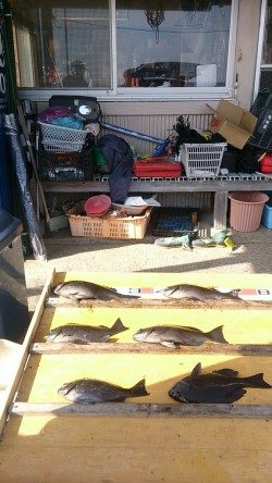 萩尾、渡船を利用してのフカセ釣り情報