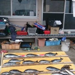 萩尾の渡船釣果　グレ好釣♫