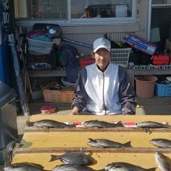 萩尾の磯でのフカセ釣果