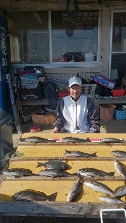 萩尾の磯でのフカセ釣果