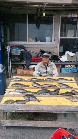 21日　萩尾の磯でのフカセ情報