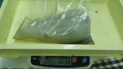 白浜町椿地磯でエギングによるアオリイカの釣…