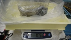 すさみのエギングでアオリイカの釣果、アタリ…