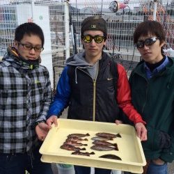 マリーナシティ海釣り公園にてガシラ・ベラ・ナマコもゲット