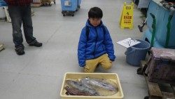 すさみの地磯　ヤエン＆ウキ釣りで　アオリイカ　2280g