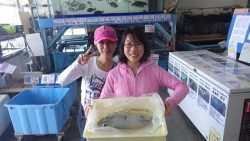 田辺周辺のエギングでアオリイカ1210ｇ